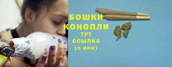 прущие грибы Бугульма