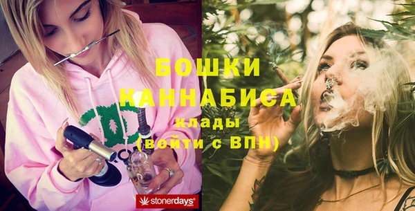 прущие грибы Бугульма