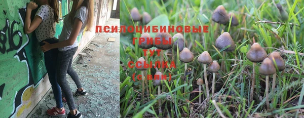 прущие грибы Бугульма