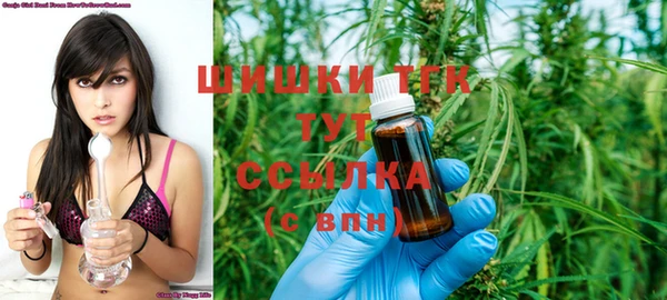 прущие грибы Бугульма