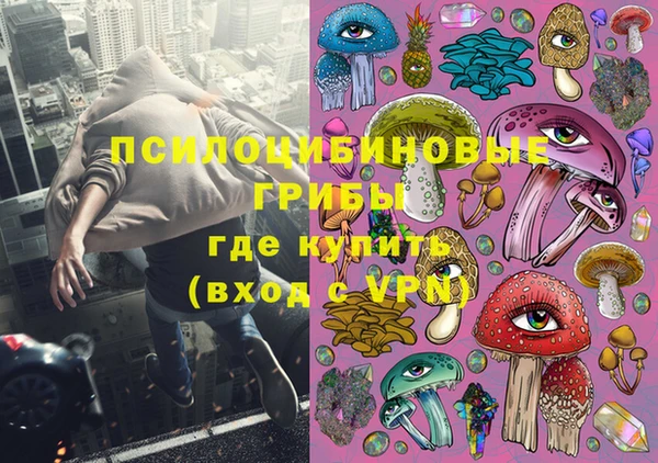 прущие грибы Бугульма